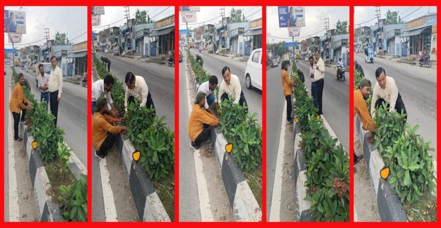 सीएम धामी के विजन को मिली रफ्तार, IAS बंशीधर तिवारी के नेतृत्व में हरा-भरा हो रहा दून, कार्यालय जाते समय पौधरोपण अभियान पर पड़ी नजर तो रुककर परखी हरियाली की जमीनी हकीकत